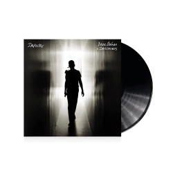 DAVE GAHAN & SOULSAVERS - IMPOSTER (LP-VINILO)