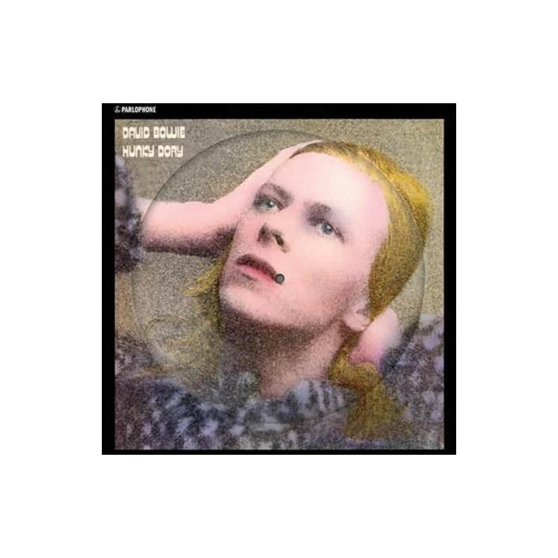 DAVID BOWIE - HUNKY DORY (50TH ANNIVERSARY) (LP-VINILO) PICTURE