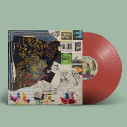 ANIMAL COLLECTIVE - TIME SKIFFS (2 LP-VINILO) DELUXE