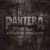 PANTERA - DECADE OF DOMINATION (2 LP-VINILO)
