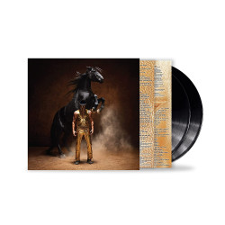 ORVILLE PECK - BRONCO (2 LP-VINILO)