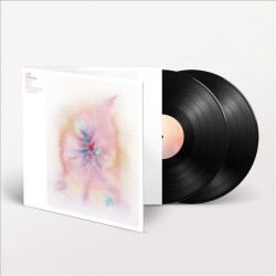 JON HOPKINS - MUSIC FOR PSYCHEDELIC THERAPY (2 LP-VINILO)