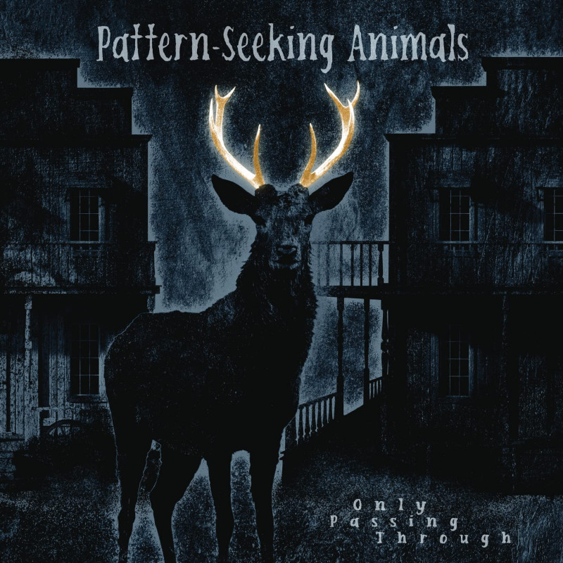 PATTERN-SEEKING ANIMALS - ONLY PASSING THROUGH (LP-VINILO + CD)