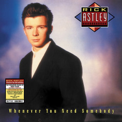 RICK ASTLEY - WHENEVER YOU...