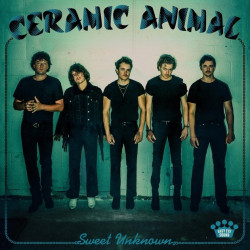 CERAMIC ANIMAL - SWEET UNKNOWN (LP-VINILO) COLOR