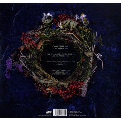 VON HERTZEN BROTHERS - RED ALERT IN THE BLUE FOREST (2 LP-VINILO)