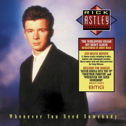 RICK ASTLEY - WHENEVER YOU...