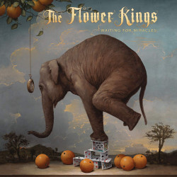 THE FLOWER KINGS - WAITING...