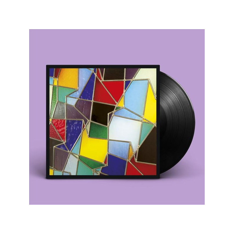 HOT CHIP - IN OUR HEADS (LP-VINILO)