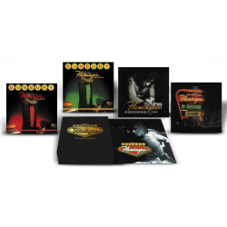 BUNBURY - FLAMINGOS - XX ANIVERSARIO (9 LP-VINILO + LIBRO) EDICIÓN LIMITADA