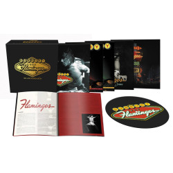 BUNBURY - FLAMINGOS - XX ANIVERSARIO (9 LP-VINILO + LIBRO + ALFOMBRILLA) EDICIÓN LIMITADA