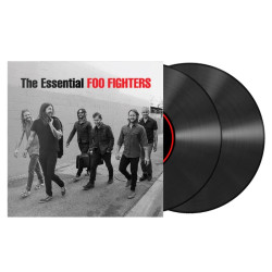 FOO FIGHTERS - THE...