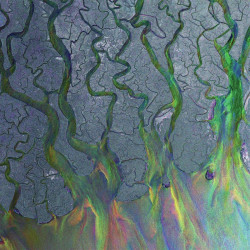 ALT-J - AN AWESOME WAVE (LP-VINILO)