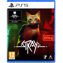 PS5 STRAY