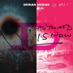 DURAN DURAN - ALL YOU NEED IS NOW (2 LP-VINILO)