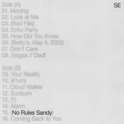 SYLVAN ESSO - NO RULES SANDY (CD)