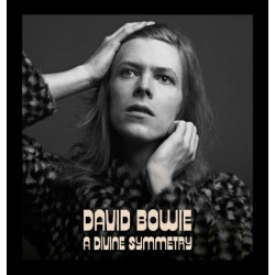 DAVID BOWIE - A DIVINE SYMMETRY (LP-VINILO)