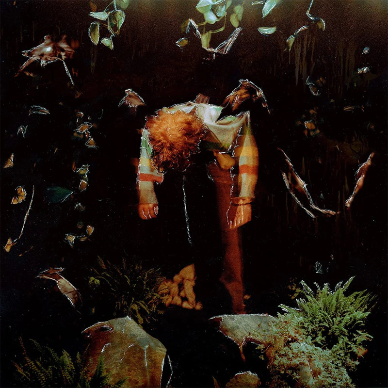 CAVETOWN - WORM FOOD (LP-VINILO) COLOR