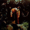 CAVETOWN - WORM FOOD (LP-VINILO) COLOR
