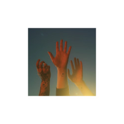 BOYGENIUS - THE RECORD (CD)