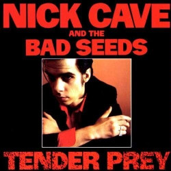 NICK CAVE & THE BAD SEEDS -...