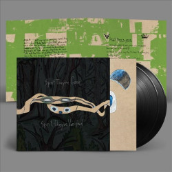 ANIMAL COLLECTIVE - SPIRIT THEY'RE GONE, SPIRIT THEY'VE VANISHED (2 LP-VINILO)