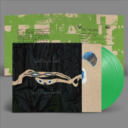 ANIMAL COLLECTIVE - SPIRIT THEY'RE GONE, SPIRIT THEY'VE VANISHED (2 LP-VINILO) DELUXE