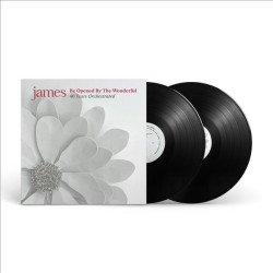 JAMES - BE OPENED BY THE WONDERFUL (2 LP-VINILO)