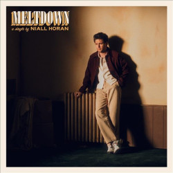 NIALL HORAN - MELTDOWN...