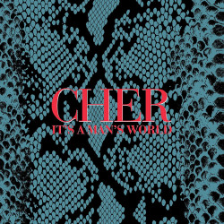 CHER - IT'S A MAN'S WORLD...