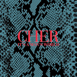 CHER - IT'S A MAN'S WORLD (4 LP-VINILO) COLOR