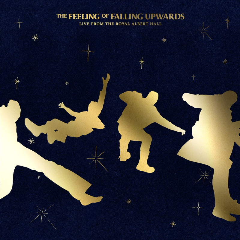 5 SECONDS OF SUMMER - THE FEELING OF FALLING UPWARDS (2 LP-VINILO)