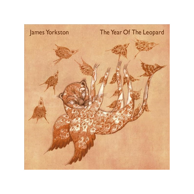JAMES YORKSTON - THE YEAR OF THE LEOPARD (2 LP-VINILO)