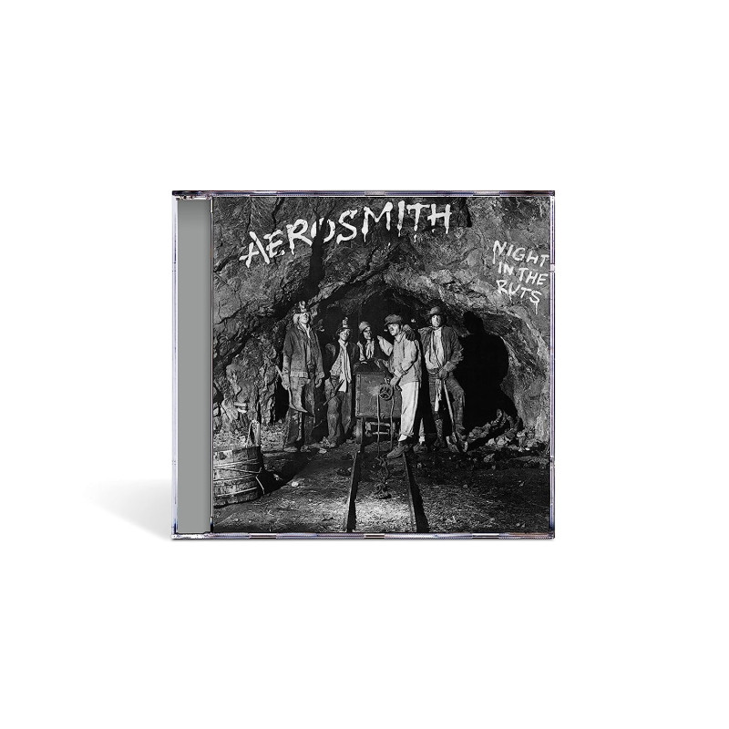 AEROSMITH - NIGHT IN THE RUTS (CD)