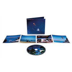 RICK WRIGHT - WET DREAM (CD)