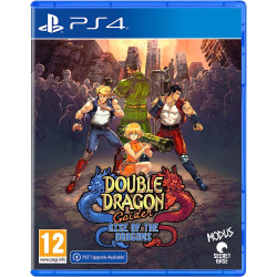 PS4 DOUBLE DRAGON GAIDEN:...