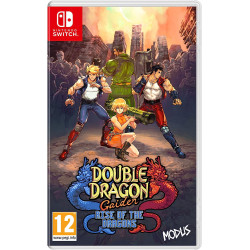 SW DOUBLE DRAGON GAIDEN:...