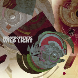 65DAYSOFSTATIC - WILD LIGHT...