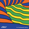 THE CHEMICAL BROTHERS - FOR THAT BEAUTIFUL FEELING (CD)