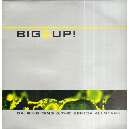 DR.RING-DING & THE SENIOR ALLSTARS - BIG UP