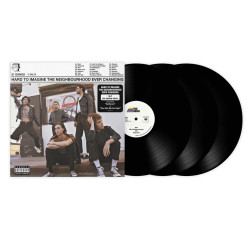 THE NEIGHBOURHOOD - HARD TO IMAGINE THE NEIGHBOURHOOD EVER CHANGING (3 LP-VINILO)