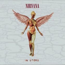 NIRVANA - IN UTERO  30 TH ANNIVERSARY (2 CD) DELUXE