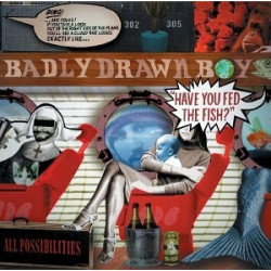 BADLY DRAWN BOY - HAVE YOU...