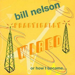 BILL NELSON - PRACTICALLY WIRED