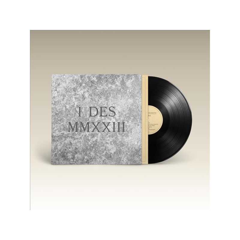 KING CREOSOTE - I DES (LP-VINILO)