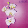MECANO - ¿DÓNDE ESTÁ EL PAÍS DE LAS HADAS? (LP-VINILO)