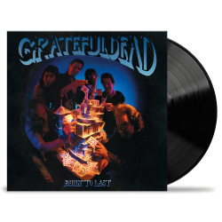 GRATEFUL DEAD - BUILT TO...