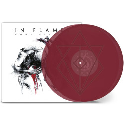 IN FLAMES - COME CLARITY (2...