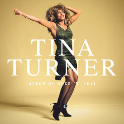 TINA TURNER - QUEEN OF ROCK 'N' ROLL (5 LP-VINILO)