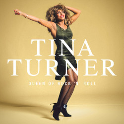 TINA TURNER - QUEEN OF ROCK 'N' ROLL (LP-VINILO)